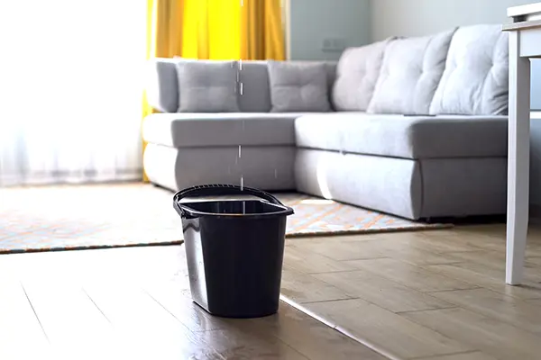 Water leaks can result in mold growth